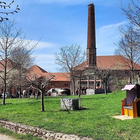 Tinyhousebeidresden 1 - Direkt Am Naturteich - Naehe Saechsische Schweiz, Dresden Großharthau Εξωτερικό φωτογραφία