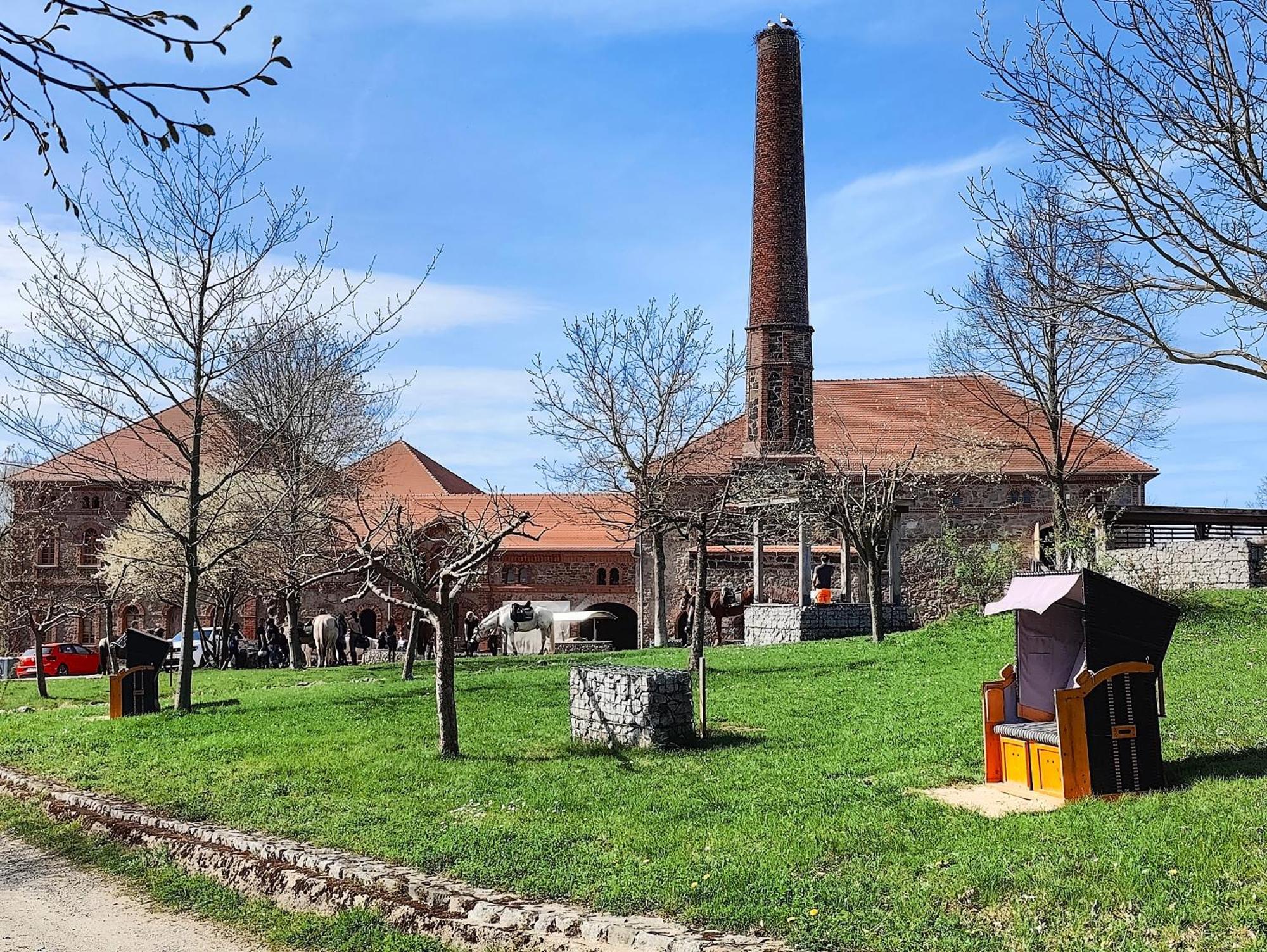 Tinyhousebeidresden 1 - Direkt Am Naturteich - Naehe Saechsische Schweiz, Dresden Großharthau Εξωτερικό φωτογραφία
